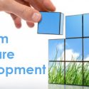 Custom software Development